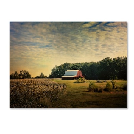 Jai Johnson 'Red Barn At The Cotton Field' Canvas Art,18x24